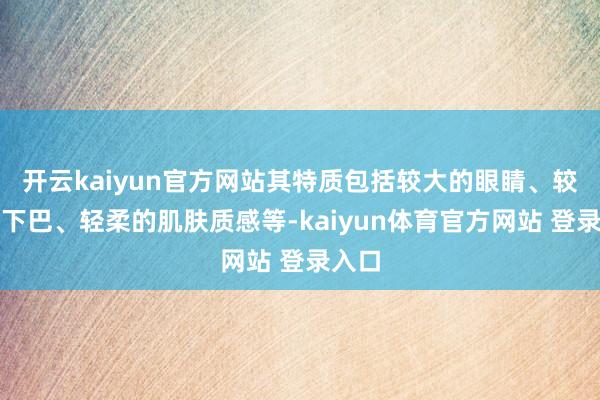 开云kaiyun官方网站其特质包括较大的眼睛、较小的下巴、轻柔的肌肤质感等-kaiyun体育官方网站 登录入口