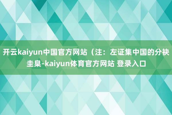 开云kaiyun中国官方网站（注：左证集中国的分袂圭臬-kaiyun体育官方网站 登录入口