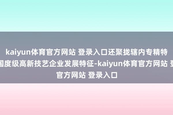 kaiyun体育官方网站 登录入口还聚拢辖内专精特新、及国度级高新技艺企业发展特征-kaiyun体育官方网站 登录入口